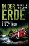 In der Erde - Pernilla Ericson - 9783651001312