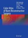 Color Atlas of Burn Reconstructive Surgery - Hiko Hyakusoku ; Dennis P. Orgill ; Luc Teot ; Julian J. Pribaz ; Rei Ogawa - 9783662501580