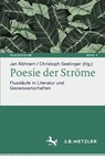 Poesie der Ströme - Jan Röhnert ; Christoph Seelinger - 9783662713297