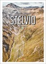 Porsche Drive: Stelvio - BOGNER,  Stefan ; Baedeker, Jan Karl - 9783667110862