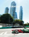 Formula E - Delius Klasing Verlag - 9783667114617