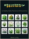 Healthy Herbs - Martin Luntig - 9783689951139