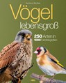 Vögel lebensgroß - Paul Sterry ; Bob Read - 9783690190084
