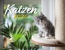 Kalender Katzen 2026 Eintragkalender -  - 9783690190114