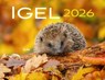 Kalender Igel 2026 Eintragkalender -  - 9783690190121