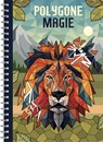 Polygone Magie - Christoph Alexander - 9783690283793