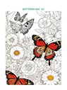 Fun coloring book Butterflies 3 for little artists - Kurt Taylor - 9783691113297
