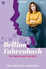 Wenn die Liebe wiederkehrt - Michaela Dornberg - 9783693710654
