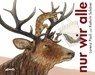 nur wir alle - Lorenz Pauli - 9783715206424