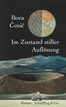 Im Zustand stiller Auflösung - Bora Ćosić ; Ror Wolf - 9783731761471