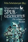Schaurigschöne Spukgeschichten für schwarze Nächte - Felix Scheinberger - 9783733508548