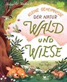 Kleine Geheimnisse der Natur - Wald und Wiese - Annett Stütze ; Britta Vorbach - 9783734860263