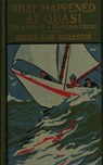 What Happened at Quasi: The Story of a Carolina Cruise - H. C. Edwards ; George Cary Eggleston - 9783736415126