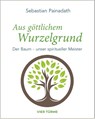 Aus göttlichem Wurzelgrund - Sebastian Painadath - 9783736507333