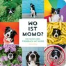 Wo ist Momo? - Andrew Knapp - 9783737359313