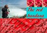 The Red Bandana - Angelika Schäfer - 9783740732844