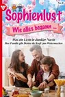 Wie ein Licht in dunkler Nacht - Marietta Brem - 9783740984526