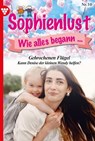 Gebrochene Flügel - Marietta Brem - 9783740986926