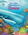 Mein großes Klappenbuch - Ozeane - Anita Ganeri - 9783741525384