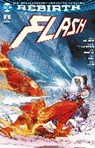 Flash - WILLIAMSON,  Joshua ; Di Giandomenico, Carmine ; Googe, Neil - 9783741604881