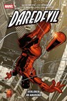 Daredevil: Verloren im Abgrund (Pocket Edition) - Kevin Smith ; Steve Dillon ; Rob Haynes ; J. G. Jones - 9783741646324