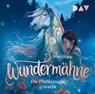 Wundermähne - Teil 1: Die Pferdemagie erwacht -  - 9783742434890