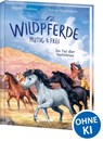 Wildpferde - mutig und frei (Band 2) - Im Tal der Gefahren - Sabine Giebken - 9783743211872