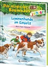 Das magische Baumhaus junior (Band 40) - Lawinenhunde im Einsatz - Mary Pope Osborne - 9783743219472