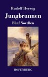 Jungbrunnen - Rudolf Herzog - 9783743731226