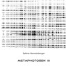 Metaphotosen III - Sabine Hemetsberger - 9783744830294