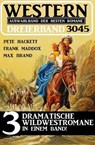 Western Dreierband 3045 - Frank Maddox ; Pete Hackett ; Max Brand - 9783745238693