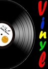Vinyl - Meine Schallplattensammlung - Sammelbuch/Notizbuch fur LP- und Single-Schallplatten - Renate Sultz ; Uwe H Sultz - 9783746097329