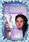 Ice Guardians 2. Der magische Eissplitter - Anna Maria Praßler - 9783751204323