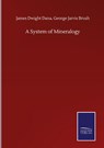 A System of Mineralogy - James Dwight Brush George Jarvis Dana - 9783752512892