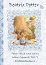 Peter Hase und seine Mausfreunde Teil 2 - Beatrix Potter ; Elizabeth M. Potter - 9783752858365