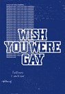 Anne Imhof. Wish You Were Gay - Thomas D. Trummer - 9783753306384