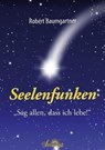 Seelenfunken - Robert Baumgartner - 9783754137185