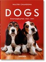 Walter Chandoha. Dogs. Photographs 1941–1991 - Reuel Golden - 9783754400258