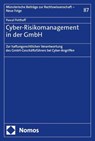 Cyber-Risikomanagement in der GmbH - Pascal Potthoff - 9783756012558