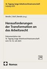 Herausforderungen der Transformation an das Arbeitsrecht - Theresa Bendix ; Oskar M. Stoll ; Michael Bendix - 9783756036080