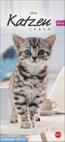 Whiskas Katzenleben Kalender 2026 -  - 9783756409839