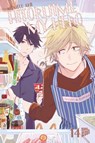 Hitorijime my Hero 14 - Memeco Arii - 9783757302962