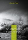 Gehirnsturm - Alexander Pfister - 9783759737625