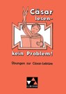 Cäsar lesen, kein Problem! - Rainer Nickel - 9783766156013