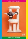 Pascale Weber: For Cats Only / Nur fur Katzen (Bilingual edition) - BARTH,  Nadine ; Satter, Michael - 9783775748551