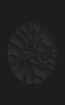 Haegue Yang. The Great Forgetfulness - Fergal Gaynor ; Haegue Yang - 9783775762625