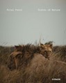 Mital Patel - Mital Patel - 9783777448022