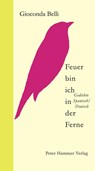 Feuer bin ich in der Ferne - Gioconda Belli - 9783779501732