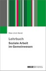 Lehrbuch Soziale Arbeit im Gemeinwesen - Peter-Ulrich Wendt - 9783779962380