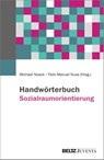 Handwörterbuch Sozialraumorientierte Soziale Arbeit - Michael Noack ; Felix Manuel Nuss - 9783779976585